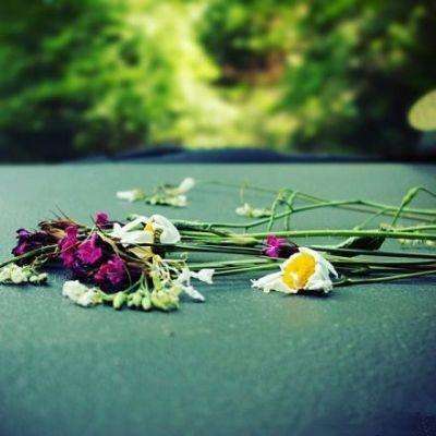 足球滚球的正规平台app