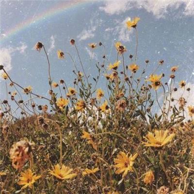 炸金花单机游戏app下载