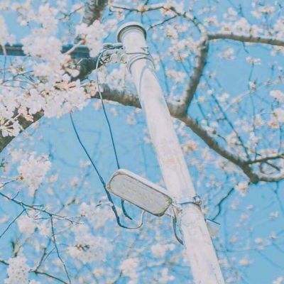 全民彩票app下载