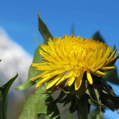 bte365真正的网站手机app下载