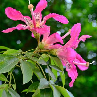 全民彩票app下载