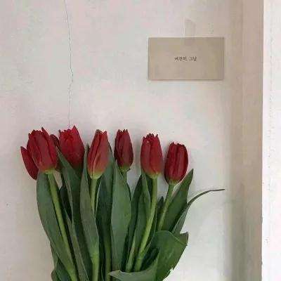 诺亚体育app下载安装手机版最新